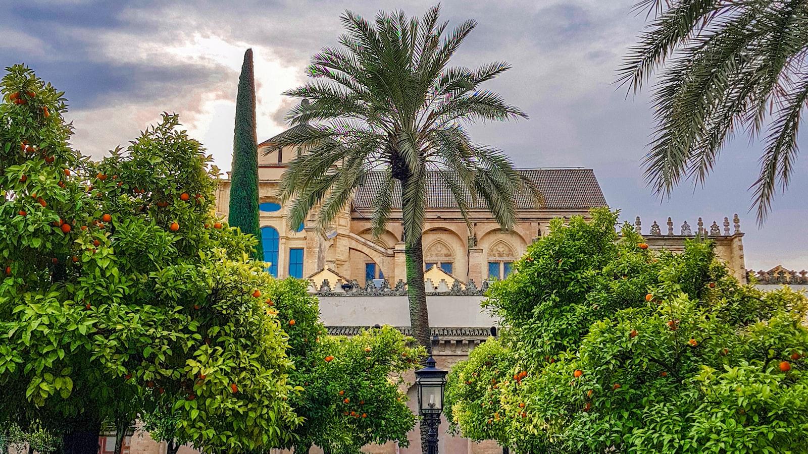 Mantenha-se saudável e em forma com esses aplicativos inovadores!